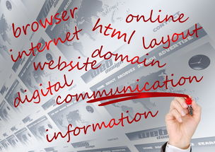 开云体育真人-校园体育赛事品牌建设路径与传播策略研究，校园体育竞赛体系