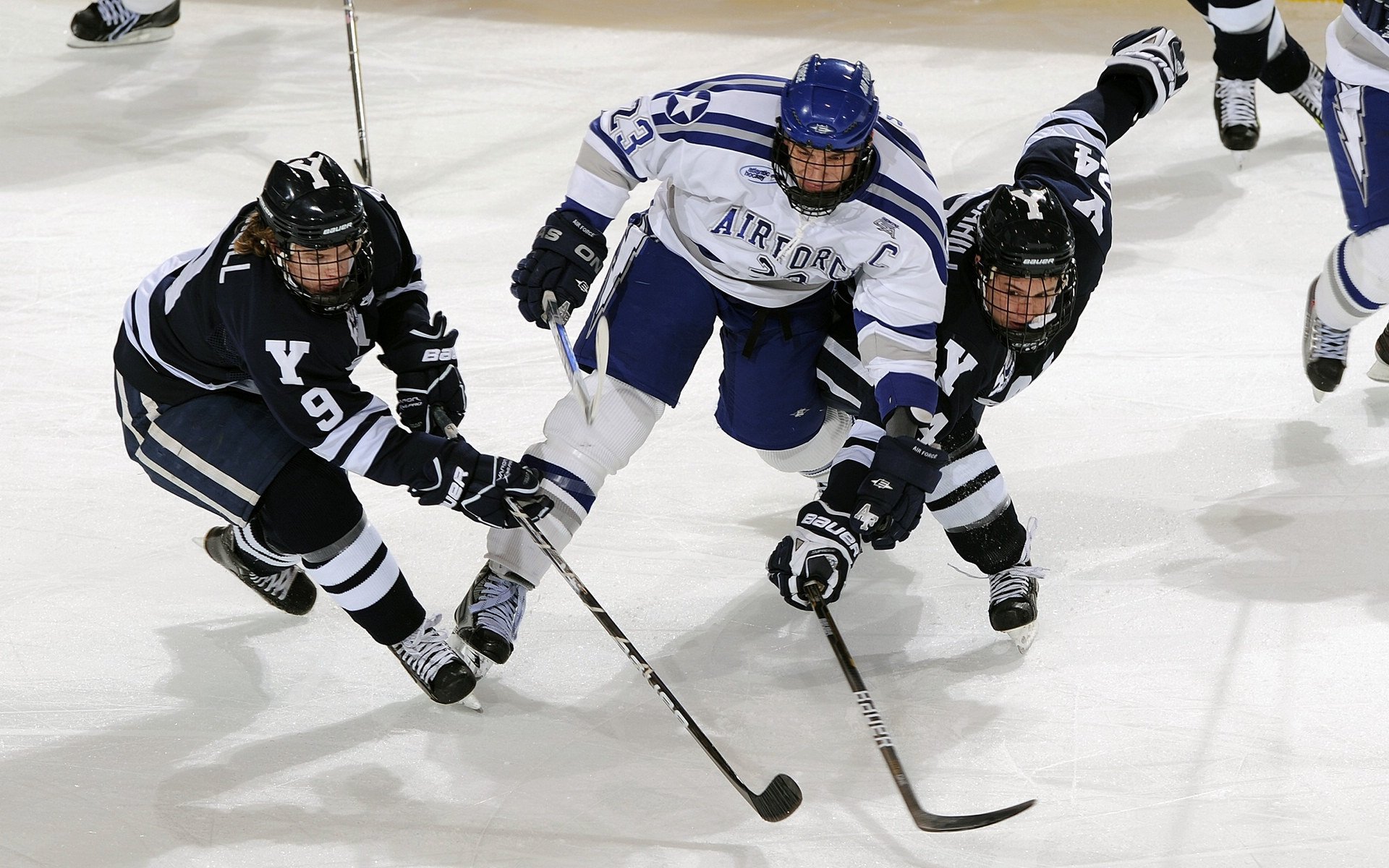 体育新闻中心参与冬季运动项目数字化改造计划，冬季体能训练新闻稿